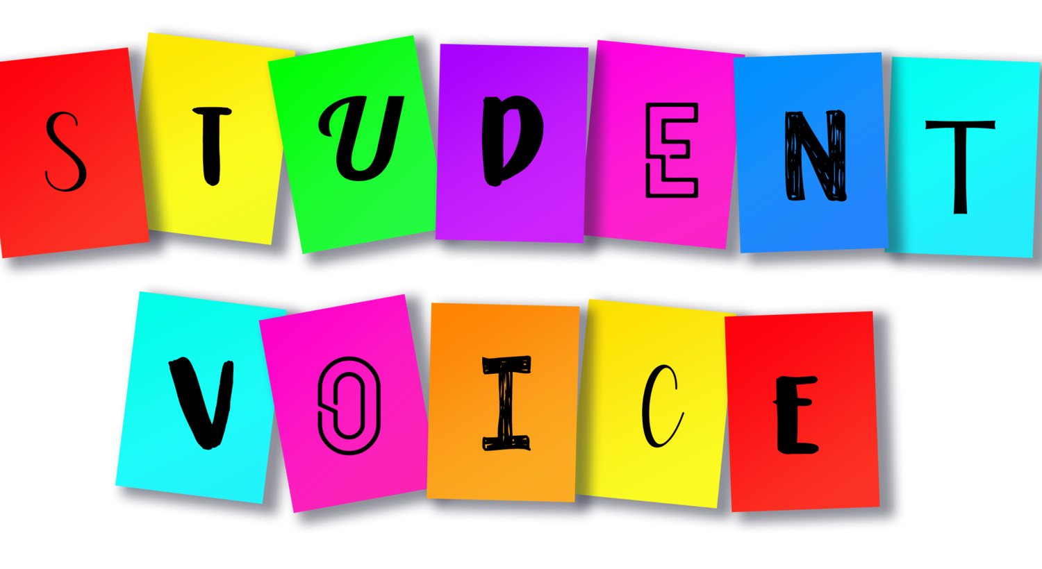 student voice homework